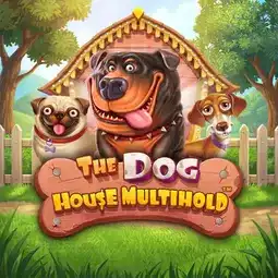 The Dog House Multihold game at KatanaSpin Casino for United Kingdom players